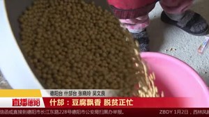 什邡：豆腐飘香 脱贫正忙