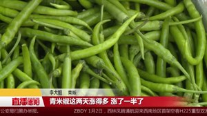 受低温雨雪天气影响   蔬菜肉类涨价了