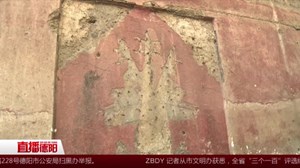 四百多年“红墙”内惊现精美“五福捧寿”图