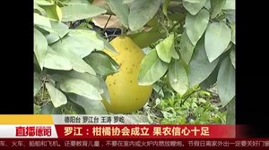 罗江：柑橘协会成立 果农信心十足