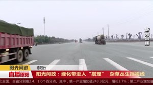  阳光反馈：二环路天元路段绿化带整改见成效