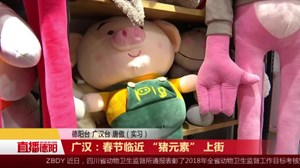 广汉：春节临近 “猪元素” 上街