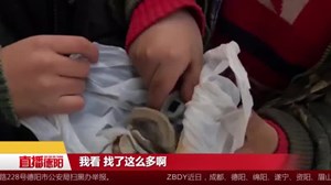 什邡：好样的！ 小学生捡到文物碎片上交