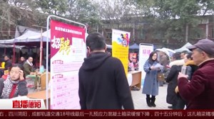 广汉： 首场乡镇专场招聘会  提供941个岗位