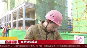 新闻特写：这一年，带着希望和收获回家