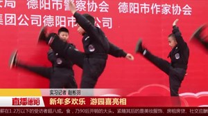 新年多欢乐  游园喜亮相