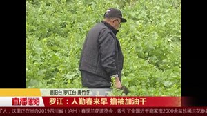 罗江：人勤春来早 撸袖加油干
