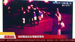酒后驾车挥拳打警察 两男女被刑拘