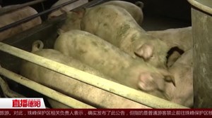 广汉：种养结合 发展循环农业