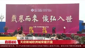 天府新城欧洲城荣耀开盘