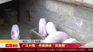 广汉兴隆：养猪摘掉“贫困帽”
