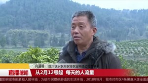 新闻追踪：耙耙柑全售空 “快乐农夫”邀您来赏花