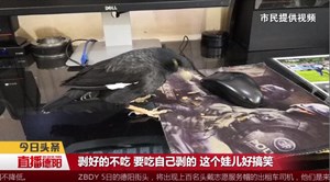 “儿子”不辞而别  夫妻苦乐参半
