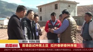 喜德县试种黑土豆  拉开春耕春种序幕