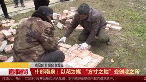 什邡南泉：以花为媒 “方寸之地”变创收之所