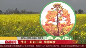 什邡：五彩田园  绚丽泉乡