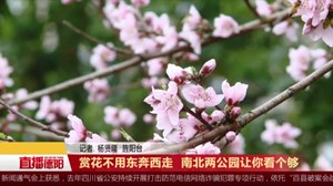 赏花不用东奔西走  南北两公园让你看个够