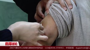 猫狗伤增加 市民应注意防范