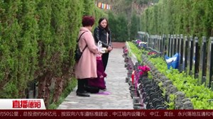 文明祭扫 生态环保