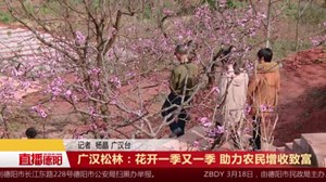 广汉松林：花开一季又一季 助力农民增收致富