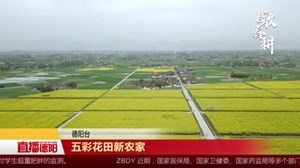 五彩花田新农家