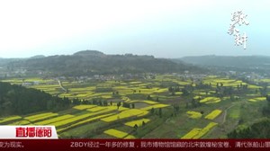 麻香调出“幸福味”