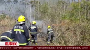 突发山火！  消防紧急处置