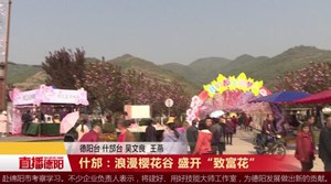 什邡：浪漫樱花谷 盛开“致富花”