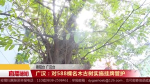 广汉：对588棵名木古树实施挂牌管护