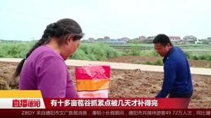 中江：夫妻“拾荒”种地30亩  辛勤劳动终脱贫