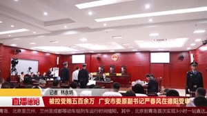 被控受贿五百余万  广安市委原副书记严春风在德阳受审