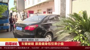 车窗被砸 原是健身包引来小偷
