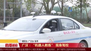 广汉：“机器人教练” 现身驾校
