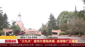 “三九大”宣传片登陆央视  全球推广三星堆