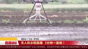 无人机水稻直播  3分钟一亩地！