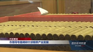 市领导专题调研什邡烟草产业发展