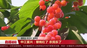 中江富兴：樱桃红了 农民乐了