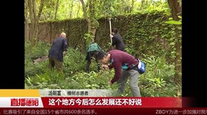 罗江：老人多年种树 践行生态绿化