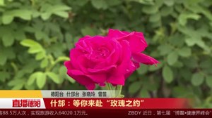 什邡：等你来赴“玫瑰之约”