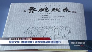 报告文学《鲁鹏现象》首发暨作品研讨会举行