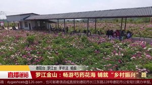 罗江金山：畅游芍药花海  铺就“乡村振兴”路