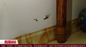 白蚁肆虐！ 30多户居民遭殃