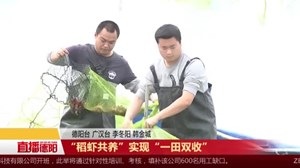“稻虾共养”实现“一田双收”