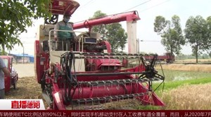 什邡：党旗插进农田 志愿服务助农收割