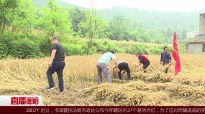 中江富兴：五月农忙季 党员组团来帮忙