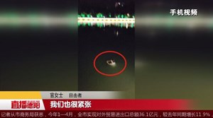 罗江：女子跳水轻生  消防紧急救援