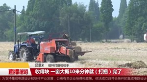 秸秆打捆回收 老大难变“香饽饽”