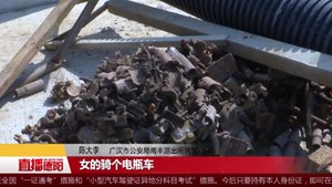广汉：“鸳鸯大盗”盗窃工地被抓现行