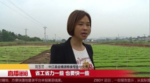 劳模刘玉兰的平凡之路