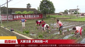 什邡：助贫苦户插秧  志愿帮扶暖人心